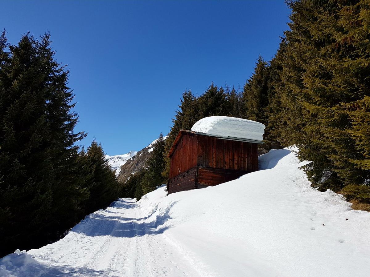 Mountain Lodge Sedrun Exterior foto